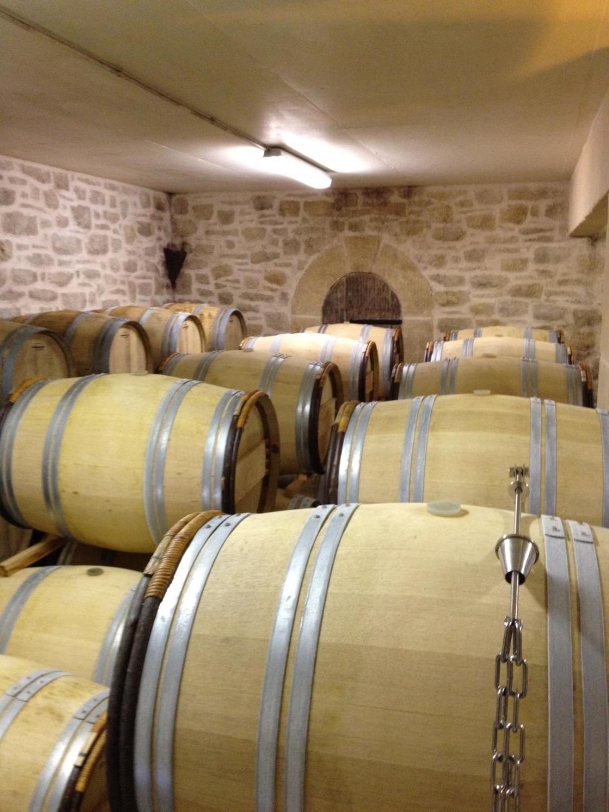 Chateau De Valloubiere Saint-Jean-de-Fos Eksteriør bilde