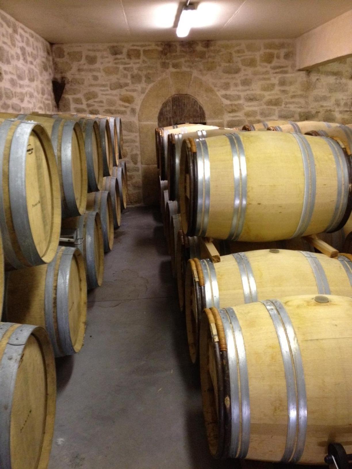 Chateau De Valloubiere Saint-Jean-de-Fos Eksteriør bilde