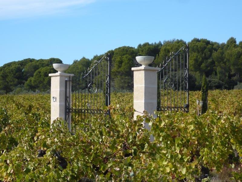 Chateau De Valloubiere Saint-Jean-de-Fos Eksteriør bilde