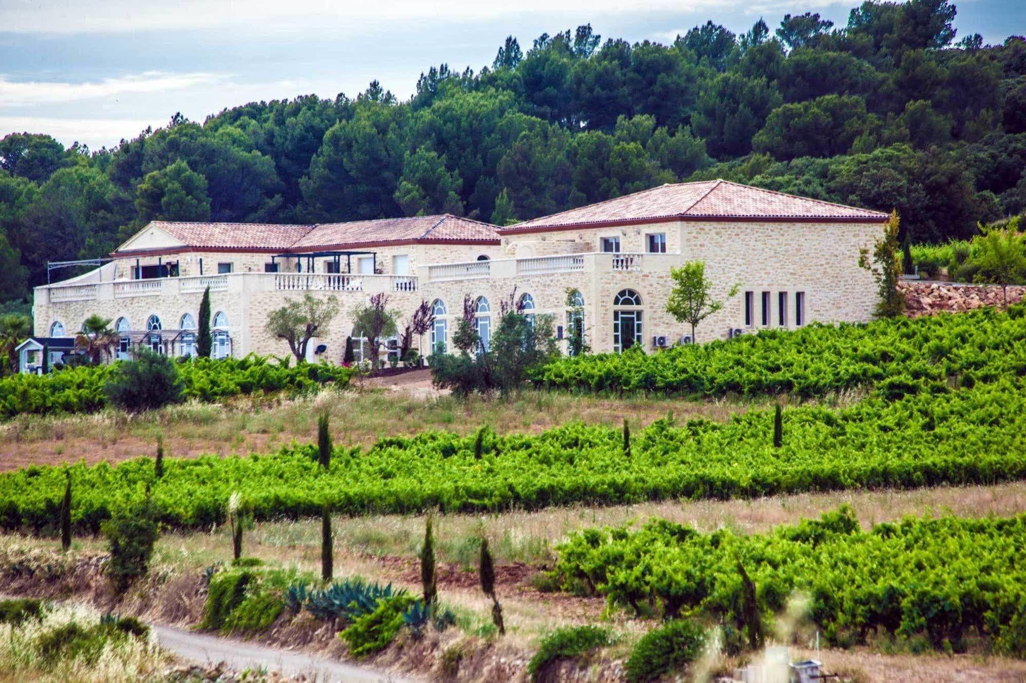 Chateau De Valloubiere Saint-Jean-de-Fos Eksteriør bilde